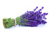 Lavender - New Zealand - By Faith Essential Oils